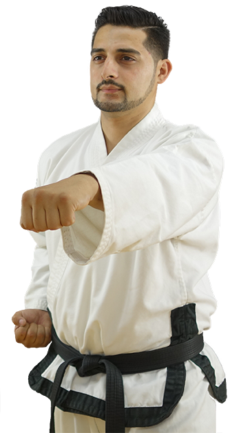 Kampfsport Taekwondo Fauststoss